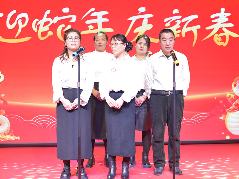 保定精神病医院年会节目表演